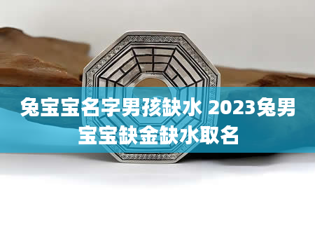 兔宝宝名字男孩缺水 2023兔男宝宝缺金缺水取名