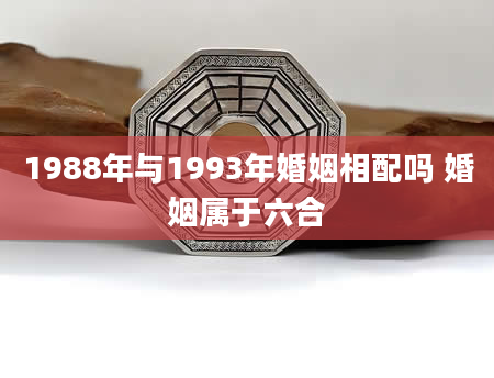 1988年与1993年婚姻相配吗 婚姻属于六合