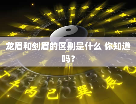 龙眉和剑眉的区别是什么 你知道吗？