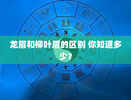 龙眉和柳叶眉的区别 你知道多少？