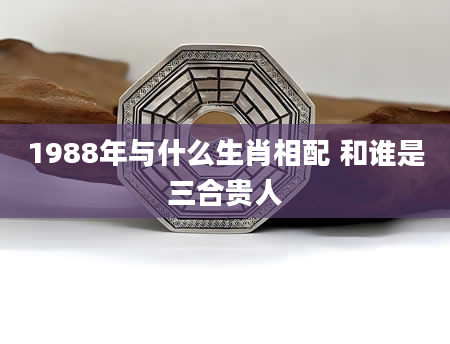 1988年与什么生肖相配 和谁是三合贵人