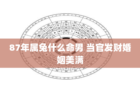 87年属兔什么命男 当官发财婚姻美满