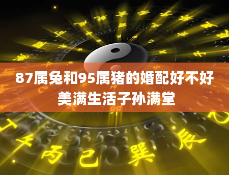 87属兔和95属猪的婚配好不好 美满生活子孙满堂