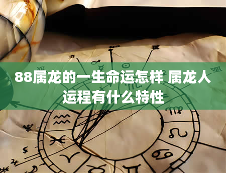 88属龙的一生命运怎样 属龙人运程有什么特性