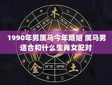 1990年男属马今年婚姻 属马男适合和什么生肖女配对