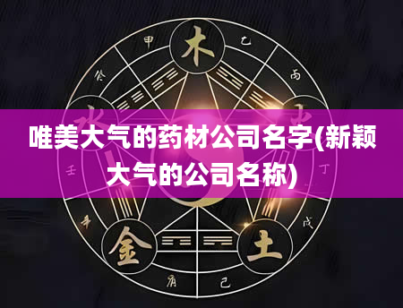 唯美大气的药材公司名字(新颖大气的公司名称)