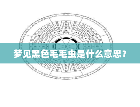 梦见黑色毛毛虫是什么意思？