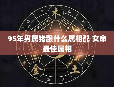 95年男属猪跟什么属相配 女命最佳属相