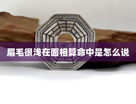 眉毛很浅在面相算命中是怎么说