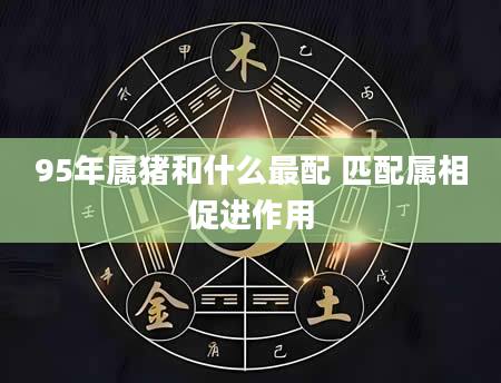 95年属猪和什么最配 匹配属相促进作用