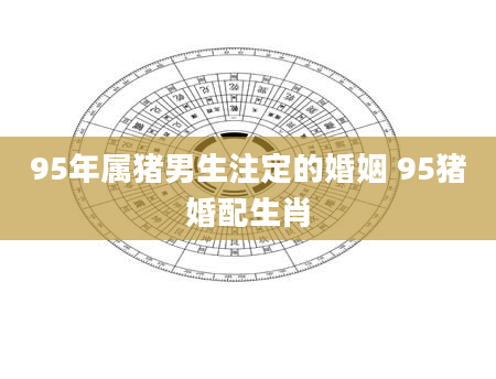 95年属猪男生注定的婚姻 95猪婚配生肖