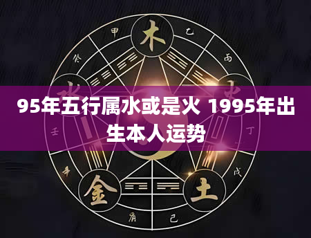 95年五行属水或是火 1995年出生本人运势