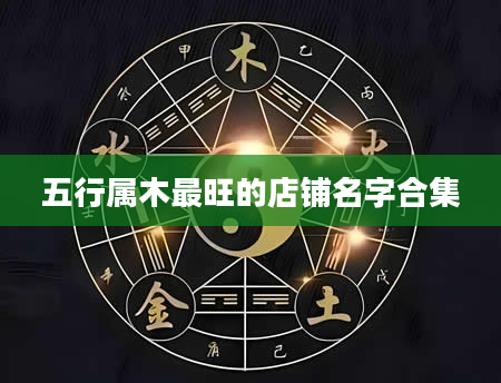 五行属木最旺的店铺名字合集