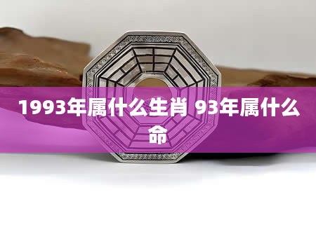 1993年属什么生肖 93年属什么命