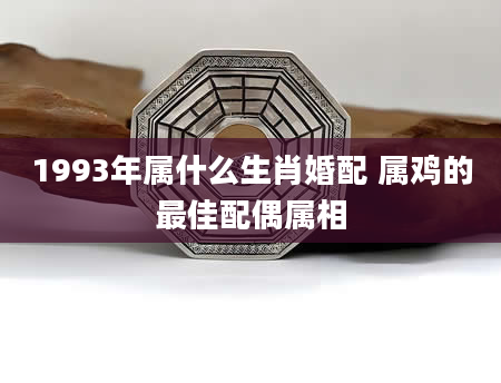 1993年属什么生肖婚配 属鸡的最佳配偶属相
