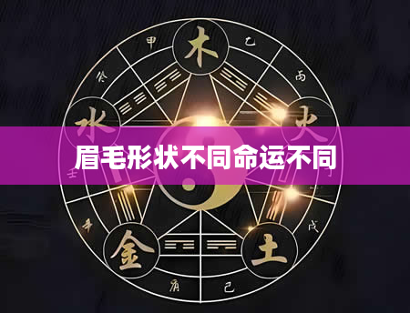 眉毛形状不同命运不同