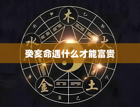 癸亥命遇什么才能富贵
