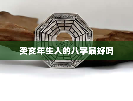 癸亥年生人的八字最好吗
