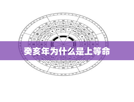 癸亥年为什么是上等命