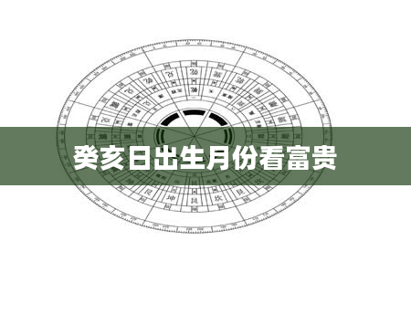 癸亥日出生月份看富贵