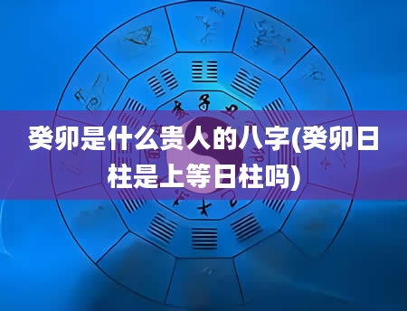 癸卯是什么贵人的八字(癸卯日柱是上等日柱吗)