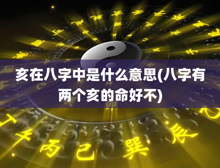亥在八字中是什么意思(八字有两个亥的命好不)