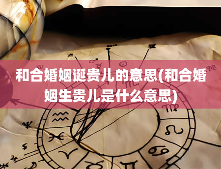 和合婚姻诞贵儿的意思(和合婚姻生贵儿是什么意思)