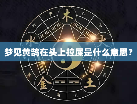 梦见黄鹄在头上拉屎是什么意思？