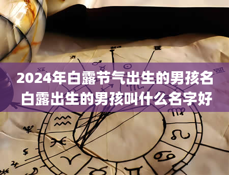 2024年白露节气出生的男孩名 白露出生的男孩叫什么名字好