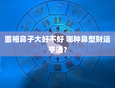 面相鼻子大好不好 哪种鼻型财运亨通？