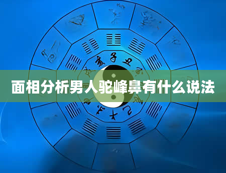 面相分析男人驼峰鼻有什么说法