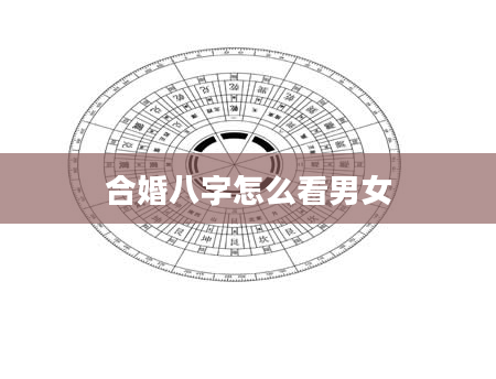 合婚八字怎么看男女