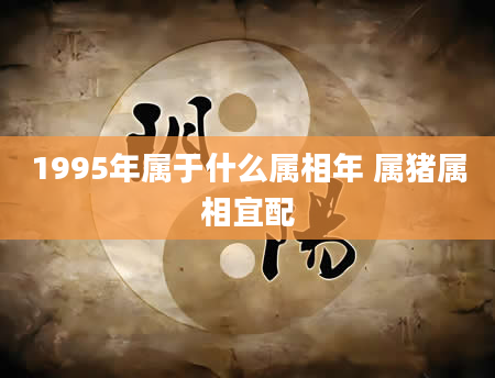 1995年属于什么属相年 属猪属相宜配