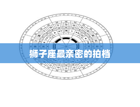 狮子座最亲密的拍档