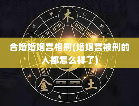 合婚婚姻宫相刑(婚姻宫被刑的人都怎么样了)