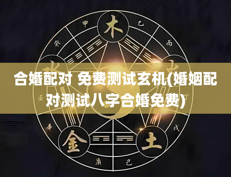 合婚配对 免费测试玄机(婚姻配对测试八字合婚免费)