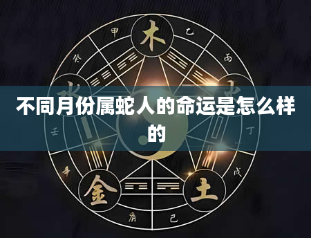 不同月份属蛇人的命运是怎么样的