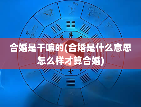 合婚是干嘛的(合婚是什么意思怎么样才算合婚)