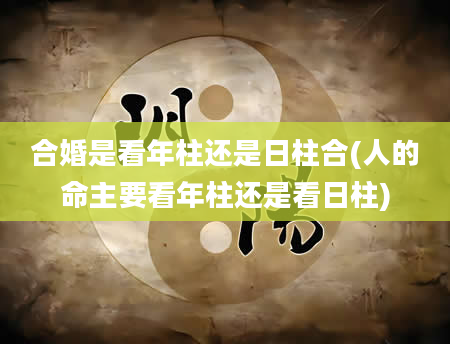 合婚是看年柱还是日柱合(人的命主要看年柱还是看日柱)