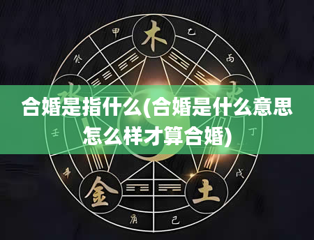 合婚是指什么(合婚是什么意思怎么样才算合婚)