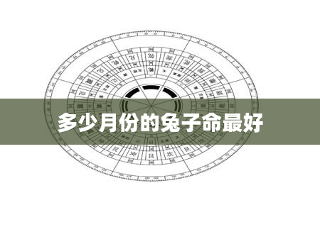 多少月份的兔子命最好