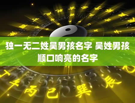 独一无二姓吴男孩名字 吴姓男孩顺口响亮的名字