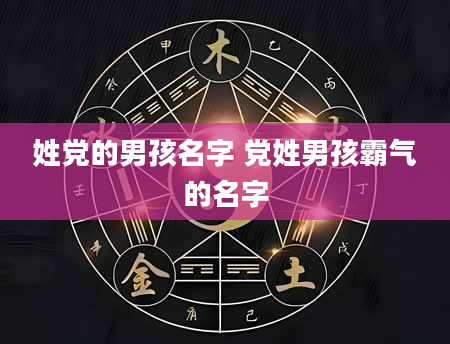 姓党的男孩名字 党姓男孩霸气的名字