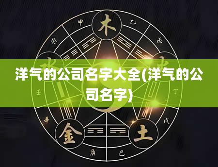 洋气的公司名字大全(洋气的公司名字)