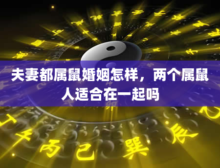 夫妻都属鼠婚姻怎样，两个属鼠人适合在一起吗
