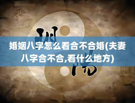 婚姻八字怎么看合不合婚(夫妻八字合不合,看什么地方)