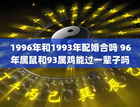 1996年和1993年配婚合吗 96年属鼠和93属鸡能过一辈子吗