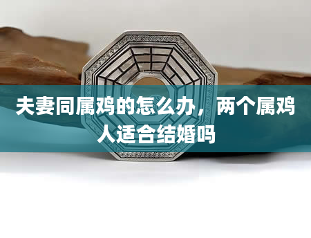 夫妻同属鸡的怎么办，两个属鸡人适合结婚吗