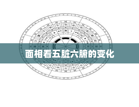 面相看五脏六腑的变化