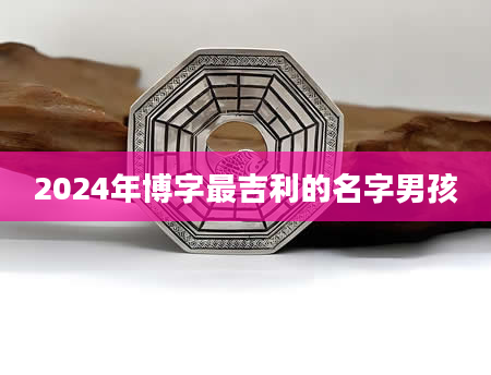 2024年博字最吉利的名字男孩